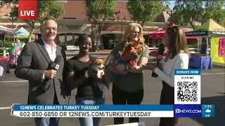 Pet Dental USA Live Interview for Turkey Tuesday 2025 Channel 12