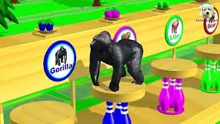 Learn Colors Wild Animal Vaccination and Weight Measure with Farm Animals Cartoon for Childrenanimal