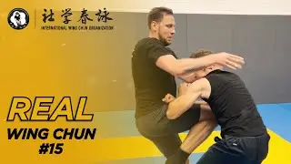 Free Chi Sao with my student | Real Wing Chun #15