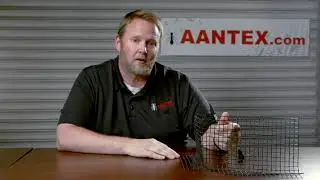 Bird Control for Solar Panels - AANTEX Pest Control