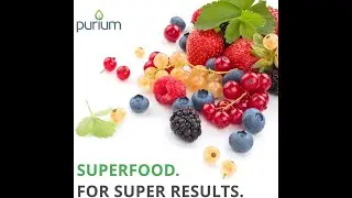 Best Organic Protein Supplement Company: Purium's COMPOSTABLE Terra Pouches NOW with Zippers!