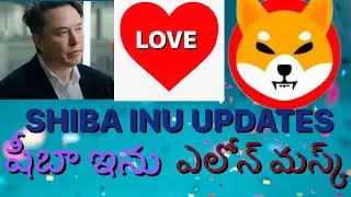 Elon musk Shiba Inu in 2022@telugucryptouniverse