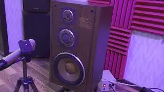 Diatone ds-1000 5