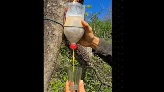Survival Skills: Amazing DIY Water Filter in the Wild. Bushcraft. Camping