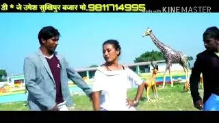 New maithili songs 2019 Tohar Gal Fulal Ge By Singer Gyanu Yadav