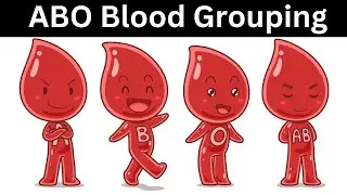 Blood Group | ABO Blood Group System | Kya Hota Hai | ब्लड ग्रुप | कितने प्रकार के होते हैं