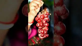 make grapes #shorts #recipe #grapes #tranding #viral
