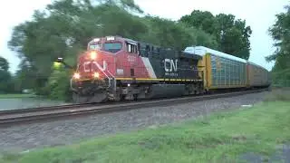 CN 393
