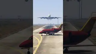 Unexpected Crazy Deer Enters Active Runway Pilot Quickly Thinking Safe Landing Gtav