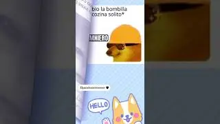 Los Mejores Memes De Cheems 🐶 | 1 Minuto de #short #cheems 🐾🐾