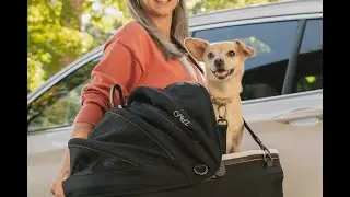 Tavo Pets | First Class Pet Car Seat