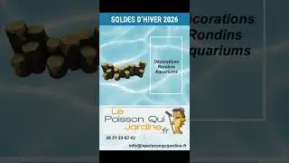 Soldes Hiver 2026 &ndash; Jusqu&rsquo;&agrave; -70% ❄️ Promo Bassin & Jardin ! #jardin