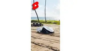 BeBot is a Beach Cleaning Robot #shorts