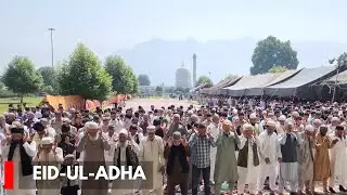 Eid ul Azha Prayers Held at Historic Dargah Hazratbal in Srinagar