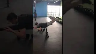 Bench reverse hyper