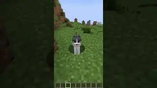 Minecraft Cat Facts. #3