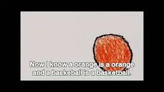 Cool basketball fact 🍊