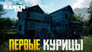 ВЫГОДНО ЛИ ИМЕТЬ КУРИЦ #2 в Runch Simulator