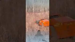 Top 10 cordless wheeled bush trimmer manufacturers in China