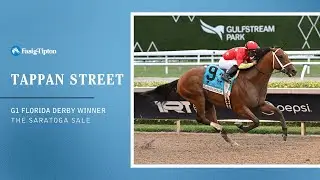 Florida Derby winner Tappan Street at The Saratoga Sale (2023)