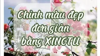 #1 Cách chỉnh màu ảnh đẹp đơn giản bằng app XINGTU