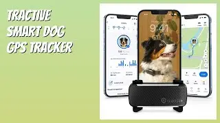 REVIEW (2026): Tractive Smart Dog GPS Tracker. Features