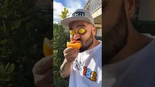 ASMR AMERICA'S ORIGINAL DUBBLE BUBBLE GUM (3 FRUIT FLAVORS) AND EATING...part3