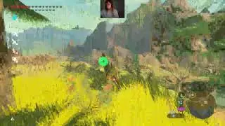 The Legend of Zelda: Breath of the Wild