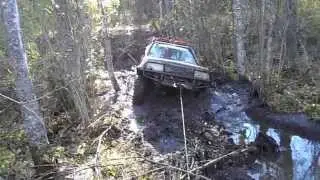 DSCN2484