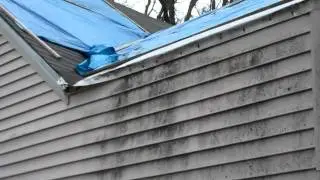 Foreclosure - Inspecting the Roof of a Home