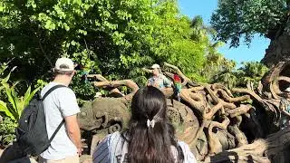 Animal Kingdom 09/03/2024 - 5min Parrot Show 4K 60FPS