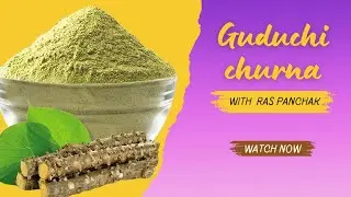 Guduchi Churna &ndash; Pharmacology, Benefits & Ayurvedic Uses | BAMS Study Guide| Rasashastra|NCISM