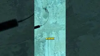 How to check if your pool is leaking 🤔