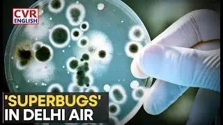 India: Deadly Superbug Detected in Delhi as Per Study Amid Poor Air Quality |CVR English