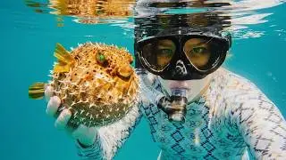 Underwater Fish & Rising Bubbles ASMR 🌊 | Relaxing Ocean Sounds (6 Minutes)