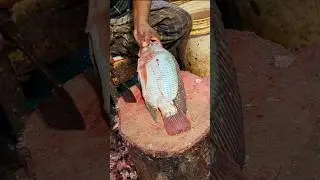 Fast Tilapia Fish Cutting Skills In Bangladesh Local Fish Market #short