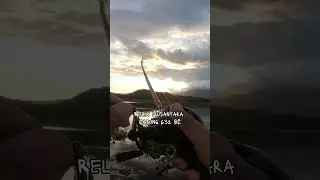 Episode 6 - RANDOM DALAG STRIKE! 🤯 Topwater Frog Attack!