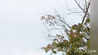 考えないように