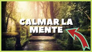 M&uacute;sica Relajante para Meditar | Relajaci&oacute;n y Meditaci&oacute;n | M&uacute;sica para Relajarse -  AUDIOTERAPIA