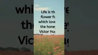 Flowers and Honey #quotes #motivation #inspiration #mindset #mindsetmatters #liveyourlife