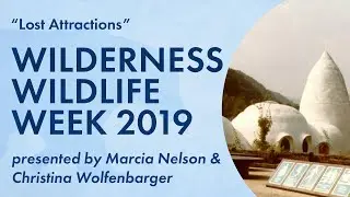 Wilderness Wildlife Week 2019 — 