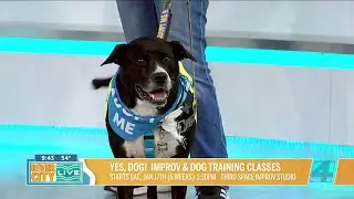 Yes, Dog! Improv & Dog Training classes