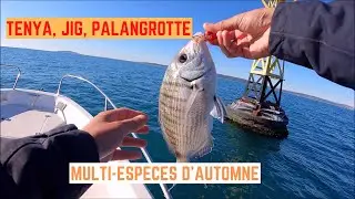 Quels POISSONS en AUTOMNE ? Je tente TENYA, JIG et PALANGROTTE