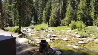 Lodgepole Campground Site #40