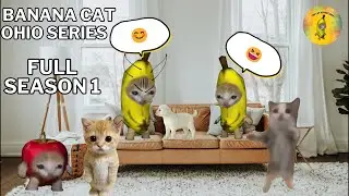 Banana Cat Ohio Series FULL SEASON 1
