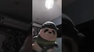 dale contigua la eMoTIZa InSAnA