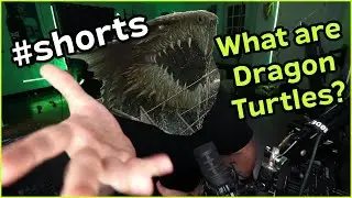 What is a Dragon Turtle in D&D?