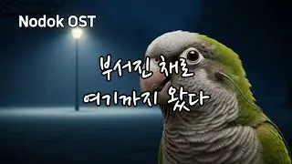 🎼 고장난 나 시리즈 | 부서진 채로 여기까지 왔다 (전곡 모음)