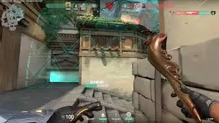 Nobody expects you to rotate after the molly line up