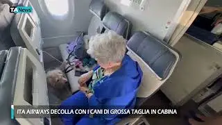 ITA Airways, da Milano Linate a Roma Fiumicino il primo volo con cani di grossa taglia in cabina